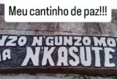 Nzo N’gunzo Mona ria N’Kasute