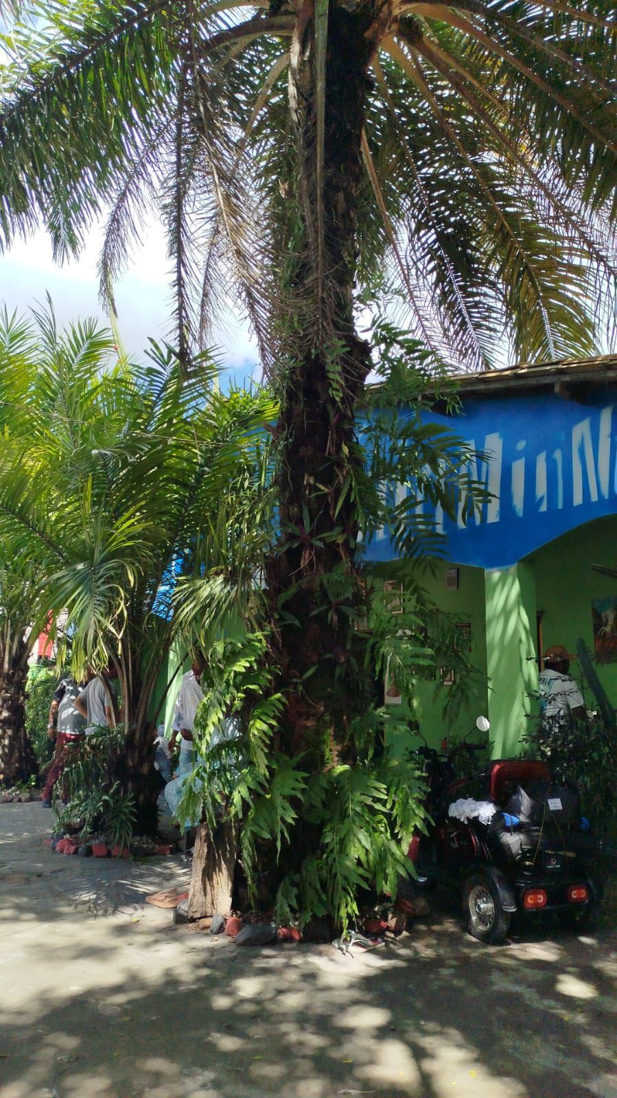 Onzó Tumbá Lê KaiaMin N’ Zambi