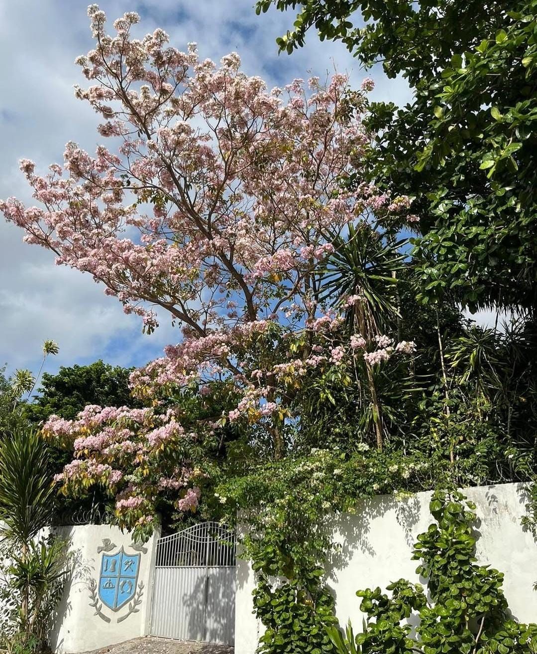 Ilê Axé Afinká – Terreiro da Prata