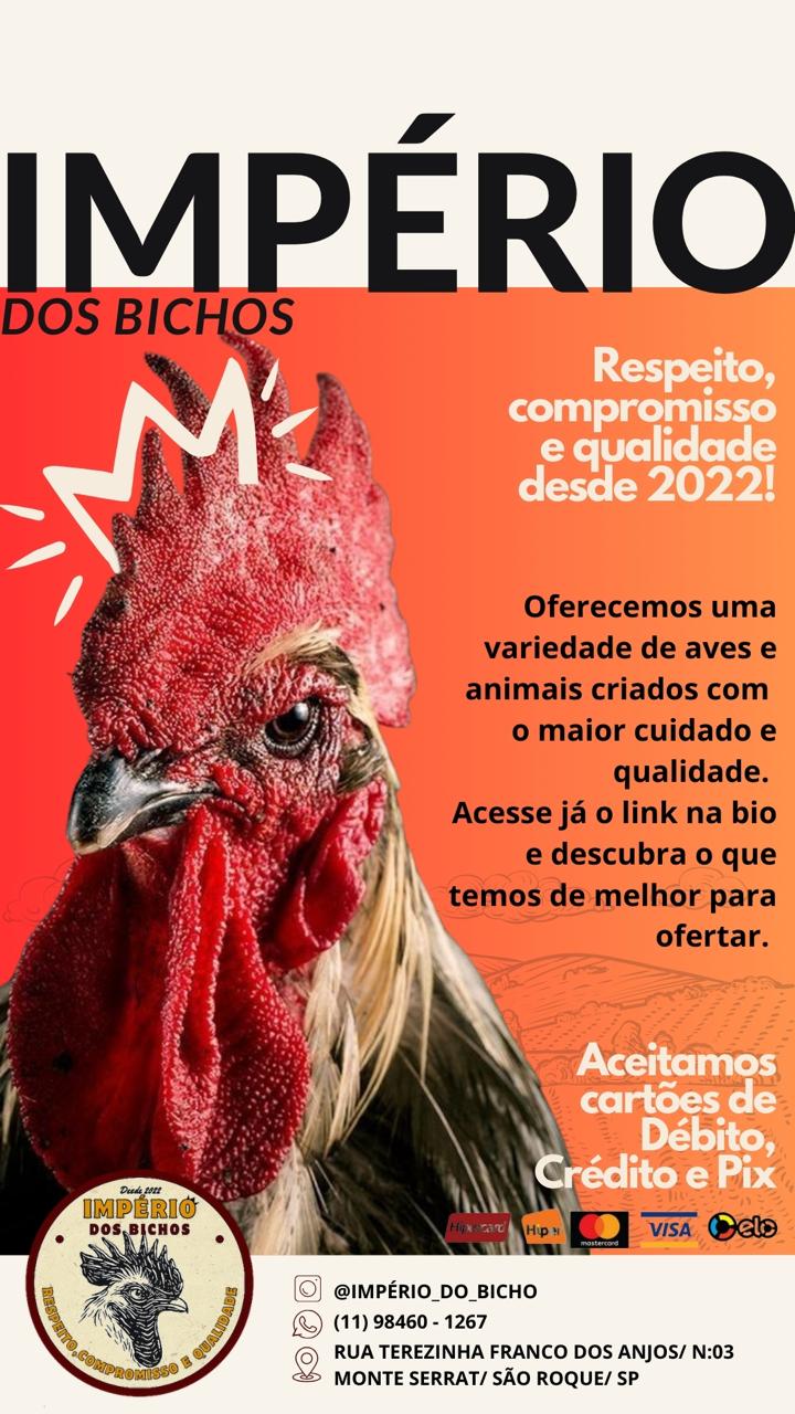 Trabalhamos venda bichos usado para fins religiosos