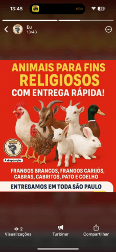 Trabalhamos venda bichos usado para fins religiosos