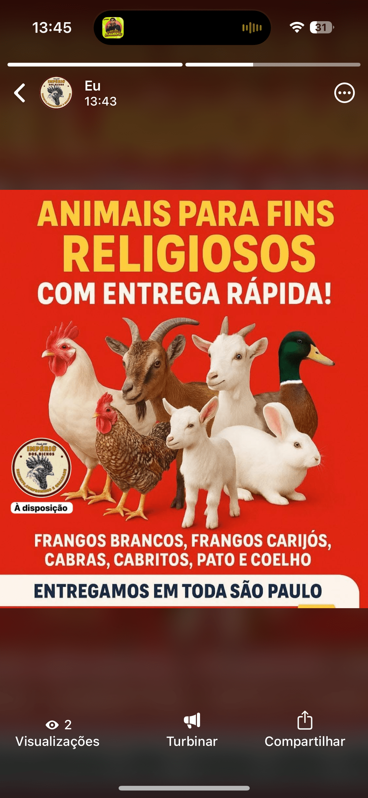 Trabalhamos venda bichos usado para fins religiosos