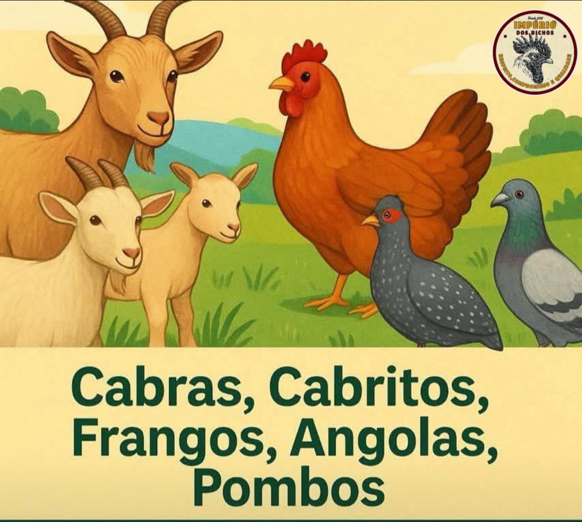 Trabalhamos venda bichos usado para fins religiosos